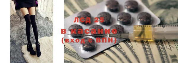 прущие грибы Шали