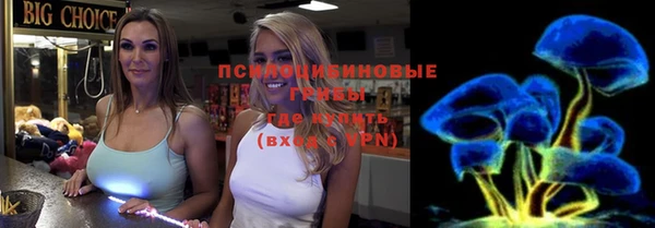 амф Шадринск
