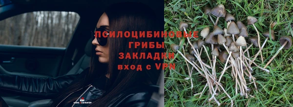 кокс Заводоуковск
