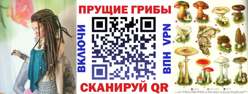 купить   Плавск  OMG ссылки  Псилоцибиновые грибы MAGIC MUSHROOMS 